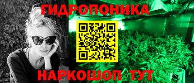 прущие грибы Балашиха