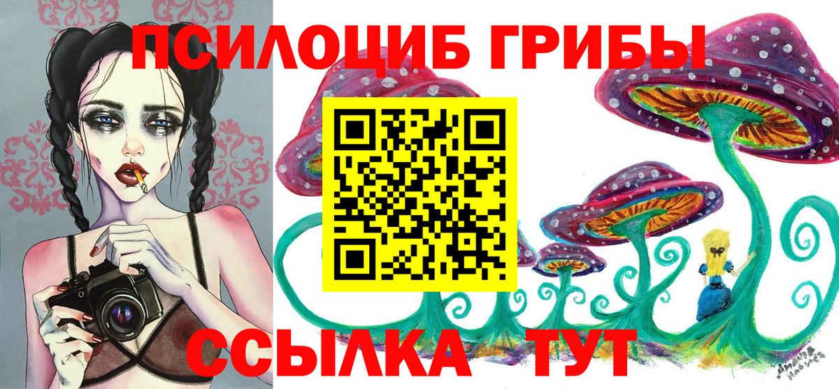 наркотики  Галлюциногенные грибы прущие грибы  Апшеронск  Псилоцибиновые грибы Magic Shrooms 