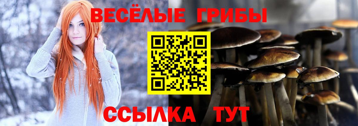 Галлюциногенные грибы MAGIC MUSHROOMS Апшеронск