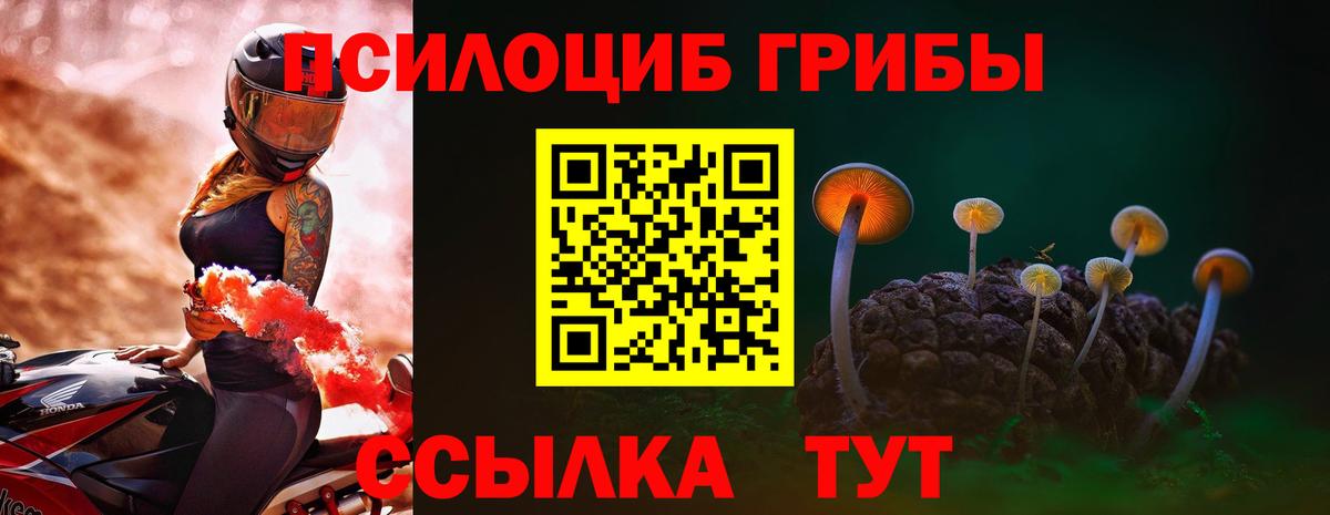 Псилоцибиновые грибы прущие грибы Апшеронск