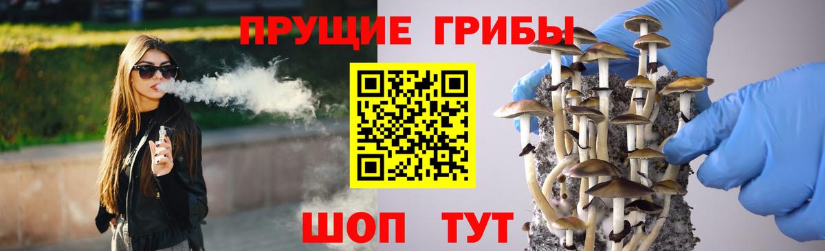 Галлюциногенные грибы Psilocybine cubensis Апшеронск